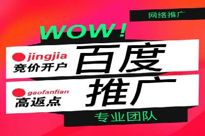 SEM托管代运营案例：优化广告投放策略